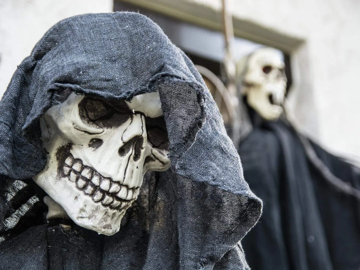 Europalms Halloween Figur Skelett formbar | Stehendes Skelett im schwarzen Umhang | Individuell zu biegen