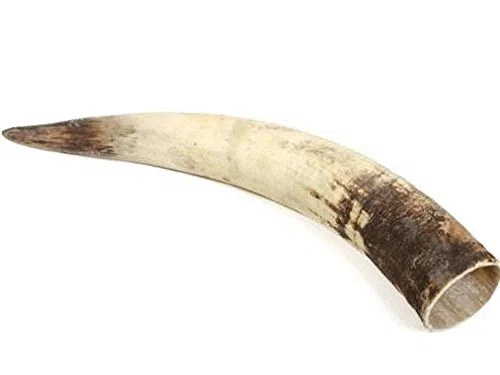 NaDeco Rinderhorn natur 50-59cm Kuhhorn Stierhorn Watussi Horn Rinder Horn Tierhorn