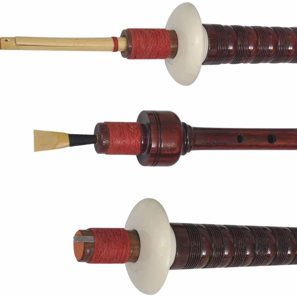 Domary Great Highlands Red Tartan Royal Steward Dudelsack-Set für Anfänger oder Studenten (Grün)