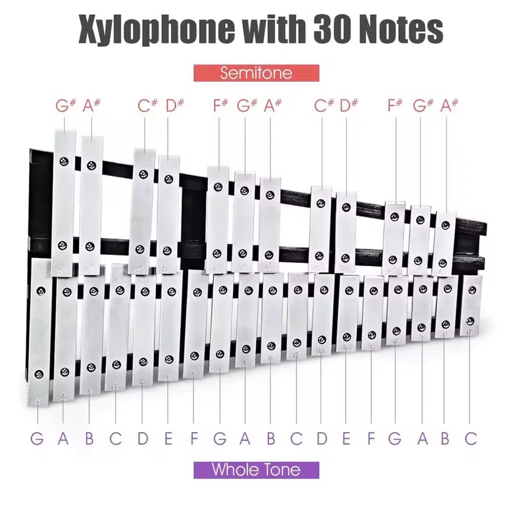 30 Noten Faltbares Glockenspiel Xylophon,Musikinstrument Holz Aluminum, Percussion Geeignetmit 2 Schlägeln & Tragetasche für Percussion Instrument Einsteiger und Musikschulen & Kirche