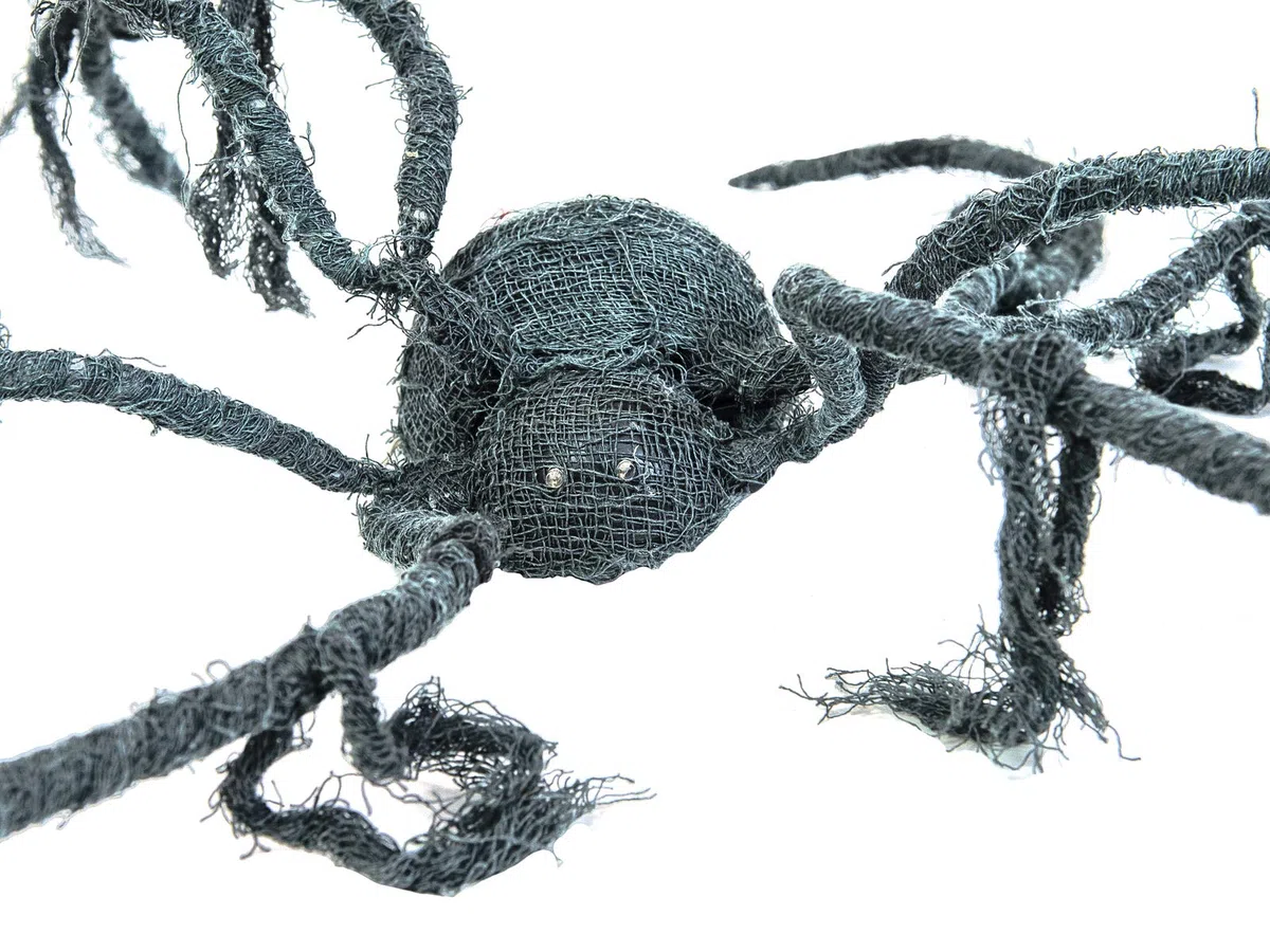 EUROPALMS Halloween Spinne, animiert, 110x8cm | Animierte Spinne mit Licht-, Sound- und Bewegungseffekten