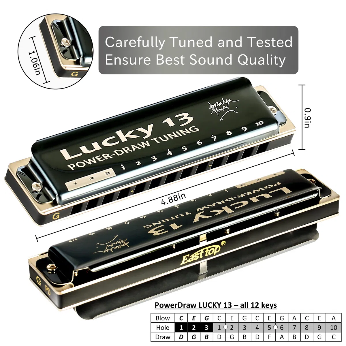 East top Lucky 13 Bass Plus Blues Harmonica 13 Holes Diatonic Harp Mouth Organ Professional Musical Instruments PowerDraw G key for Adults